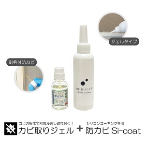 yzOSOJI SommelierV[Y JrWF150gƖhJrR[eBO Si-coat̃Zbg  SpbL ^C̃Jr Jr\h VRR[LÕJrɖZێ