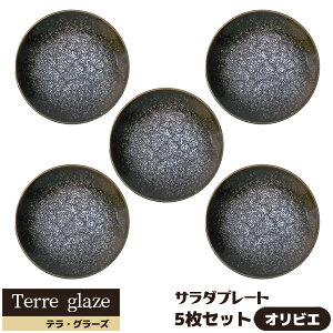 yiz Terre glaze eEO[Y T_v[g 5Zbg IrGM M ێM P[LM fU[gM  HZbg _  dqWΉ H@Ή Mtg