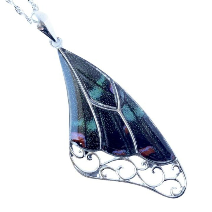 楽天市場 Psyche 現品 上翅デザイン バタフライネックレス ミヤマカラスアゲハ オウン ピー アクセサリー