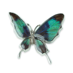 ラペルピン 蝶 ブローチの人気商品 通販 価格比較 価格 Com