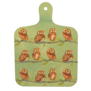 Emma Ball p ~j`bsO{[h 17.5cm×23.5cm T[rO{[h JbeBO{[h Jbg{[h  킢  v[g Mtg 蕨 Owls on Green@EBMCB57