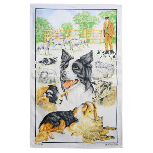 Samuel Lamont eB[^I Rbg ^yXg[ CMX `}bg NX ^I fBbV^I H@ z z ӂ 唻 킢  G p CeA Collie Dog 