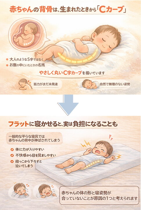 楽天市場】『おやすみたまご』体圧分散Cカーブ (防災グッズ 赤ちゃん 