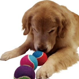 ちょっと大きなテニスボール（3ヶセット）【犬用おもちゃ】＜あす楽対応＞