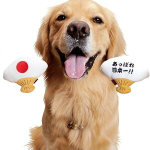 �����ςꂹ�񂷁y���p�ʂ�����݁E��������z�������y�Ή���