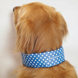 全周ひんやりクールバンダナ（保冷剤2本付）【大型犬向け】熱中症対策・暑さ対策