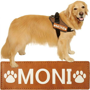 EX K-9 p[n[lXpl[xiuEjyMTCYz l[x݂̂̔̔B{̕ʔBn[lXLTCYAXLTCYɑΉ̃TCYłB