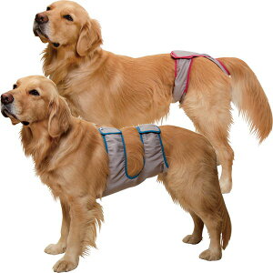 }i[z_[ ANeBumj̎qp/̎qpny^zyΉ