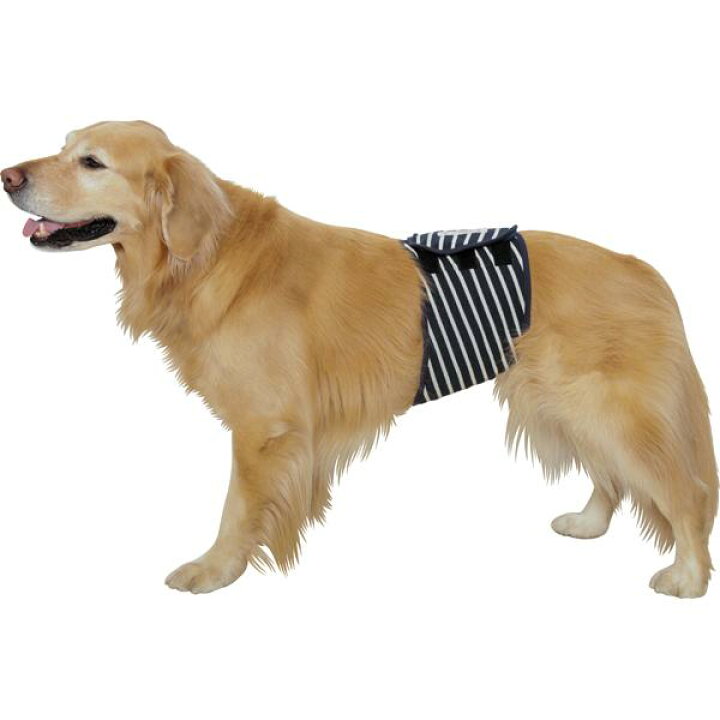 楽天市場】シンプルボーダーマナーベルト【大型犬向け】＜あす楽対応 