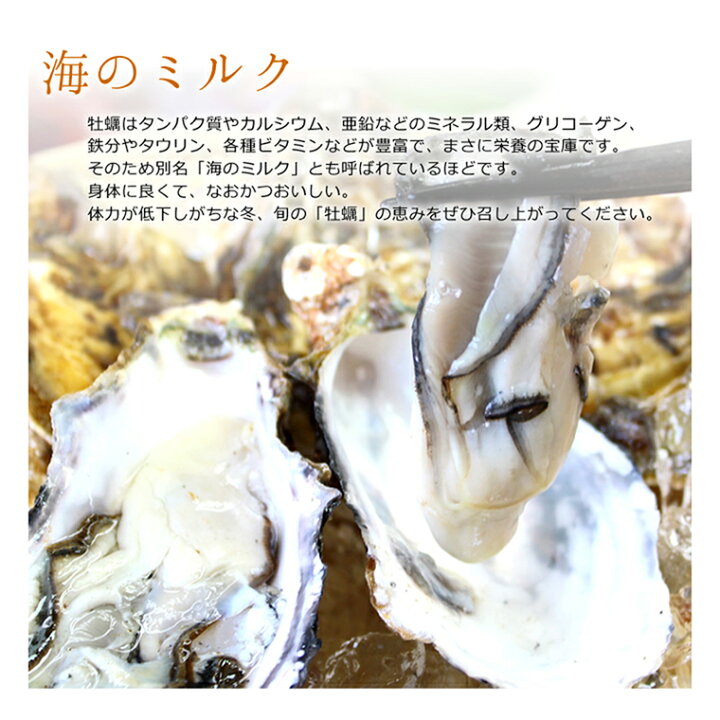 楽天市場 坂越産 生牡蠣むき身500g 1 サムライオイスター 送料無料 生食ok 旨みたっぷり 甘くて濃厚 楽ギフ 包装 楽ギフ のし 楽ギフ のし宛書 楽ギフ メッセ 楽ギフ メッセ入力 Oyster Sisters