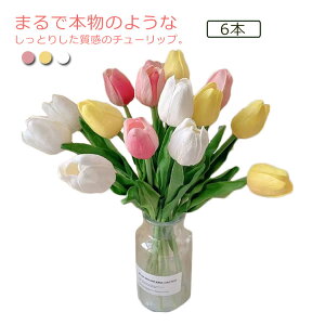 `[bv  t[AW A[gt PU t[ Be ԑ CeA  a ސEj LO p[eB[ JXj  Cxg  Mtg v[g 