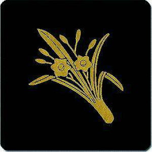 yzƖV[ l ی^ or lp KS-2206