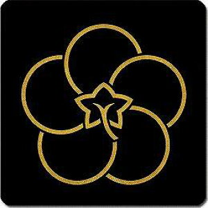 yzƖV[ AP~ ی^ or lp KS-6413