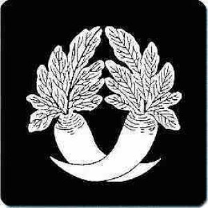 yzƖV[ Ⴂ卪 ی^ or lp KS-0047