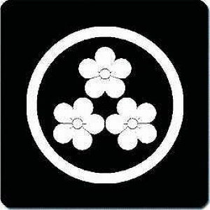 yzƖV[ ۂɎO~̉ ی^ or lp KS-0580