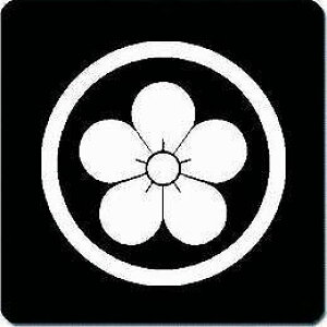 yzƖV[ ۂɔ~̉ ی^ or lp KS-0731