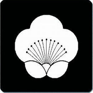 yzƖV[ ~ ی^ or lp KS-1225