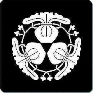 yzƖV[ Orq ی^ or lp KS-1546