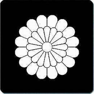 yzƖV[ \Zdˋe ی^ or lp KS-1856