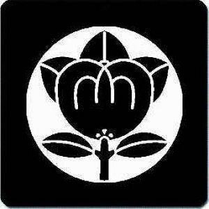 �y���������z�Ɩ�V�[�� �Ύ����n�����k �ی^ or �l�p KS-1997