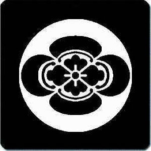 yzƖV[ Ύn؉Z ی^ or lp KS-2043