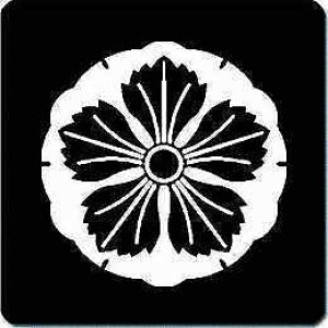 yzƖV[ ᎝nq ی^ or lp KS-2075