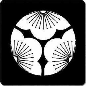 yzƖV[ O~ ی^ or lp KS-3855