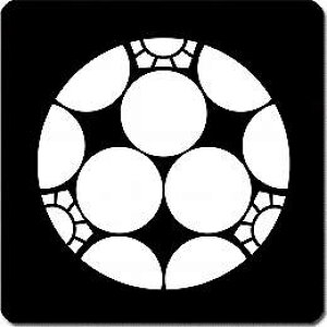 yzƖV[ O~ ی^ or lp KS-3866