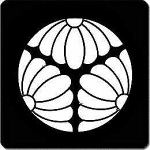 yzƖV[ Oe ی^ or lp KS-3881