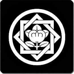 yzƖV[ ۂɑgݍ킹eɋk ی^ or lp KS-4434