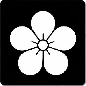 yzƖV[ ~̉ ی^ or lp KS-5167