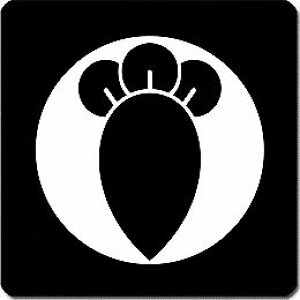 yzƖV[ Ύnq ی^ or lp KS-5280