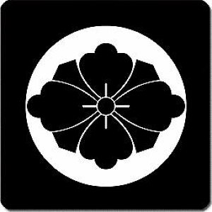 yzƖV[ ΎnԕH ی^ or lp KS-5297