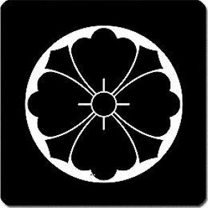 yzƖV[ ΎnlԕH ی^ or lp KS-5301