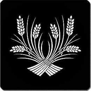 yzƖV[ Ⴂ ی^ or lp KS-5572