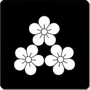 yzƖV[ KO~ ی^ or lp KS-5990