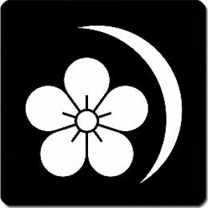 yzƖV[ ~ɎO ی^ or lp KS-6622