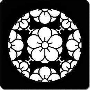 yzƖV[ ~ ی^ or lp KS-6642