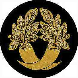 yzƖV[ Ⴂ卪 ی^ or lp KS-0047