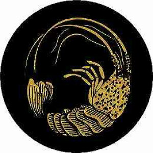 yzƖV[ CV̊ۖ NS4D-016 ی^ or lp KS-3597