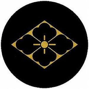 yzƖV[ HnԕH ی^ or lp KS-5488