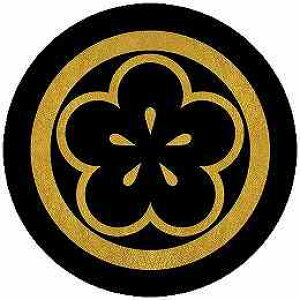 yzƖV[ ۂɉAԌ~ ی^ or lp KS-6433