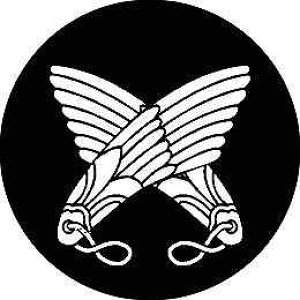 yzƖV[ ႢH ی^ or lp KS-0033