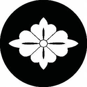 yzƖV[ SRԕH ی^ or lp KS-1025