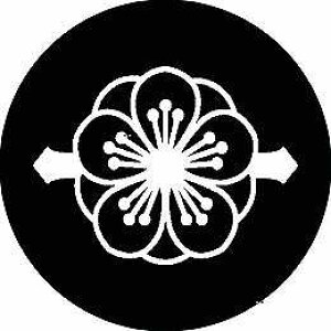 yzƖV[ d~ ی^ or lp KS-1079