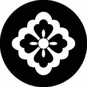 yzƖV[ AlԕH ی^ or lp KS-2149