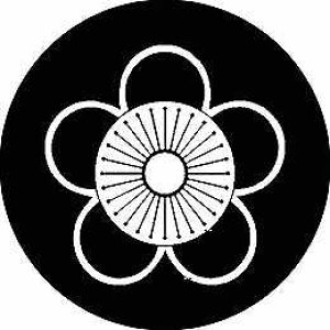 yzƖV[ A~ ی^ or lp KS-2253