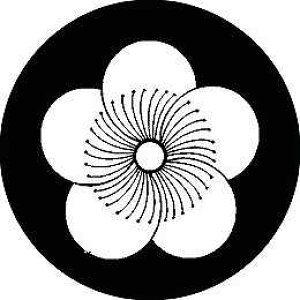 yzƖV[ P~ ی^ or lp KS-2541