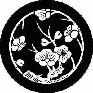 yzƖV[ ~} ی^ or lp KS-2563