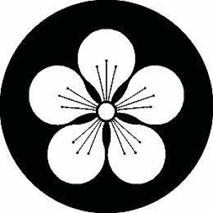 yzƖV[ ~ ی^ or lp KS-2572